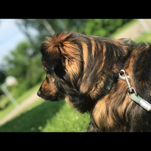 Meet your Posher, Kylee - Picture 3 of 4